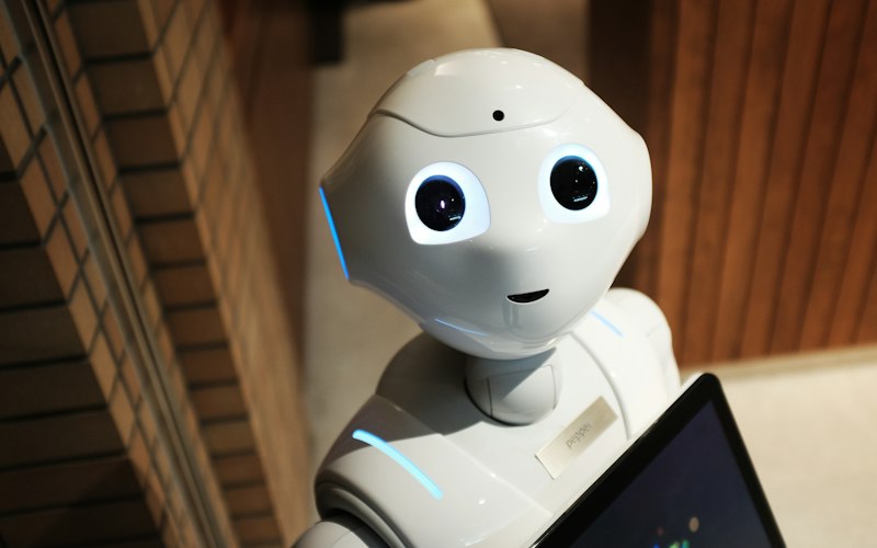 Humanoid service robot with an interactive display